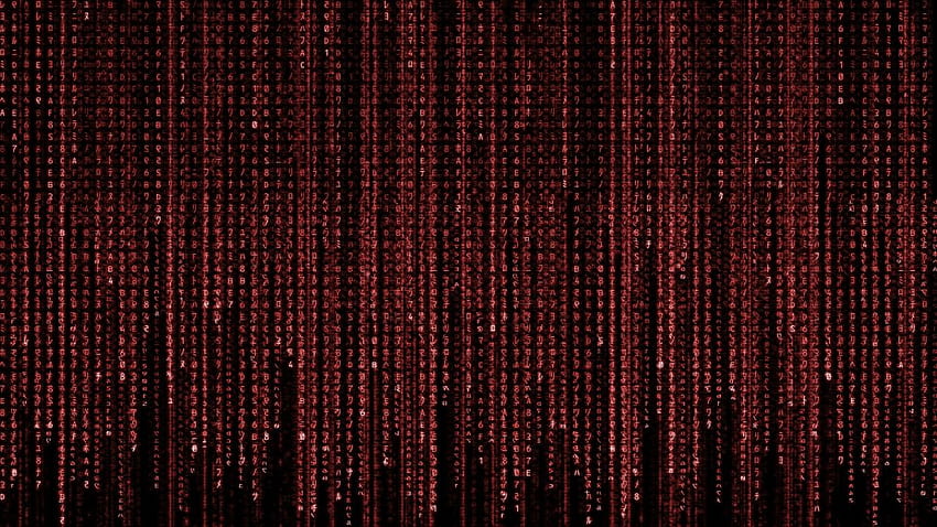 red matrix code wallpaper