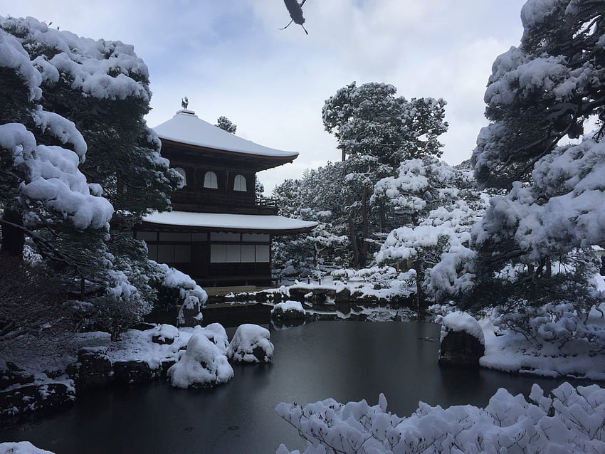 Şiddetli Kar Yağışı Kyoto'yu Kış Harikalar Diyarına Dönüştürüyor - Spoon & Tamago HD duvar kağıdı