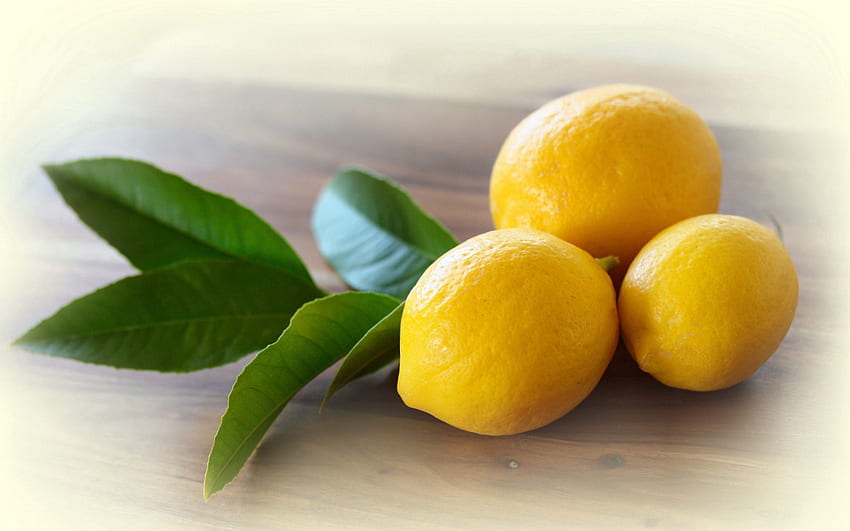 Food, Leaves, Lemons, Citrus HD wallpaper