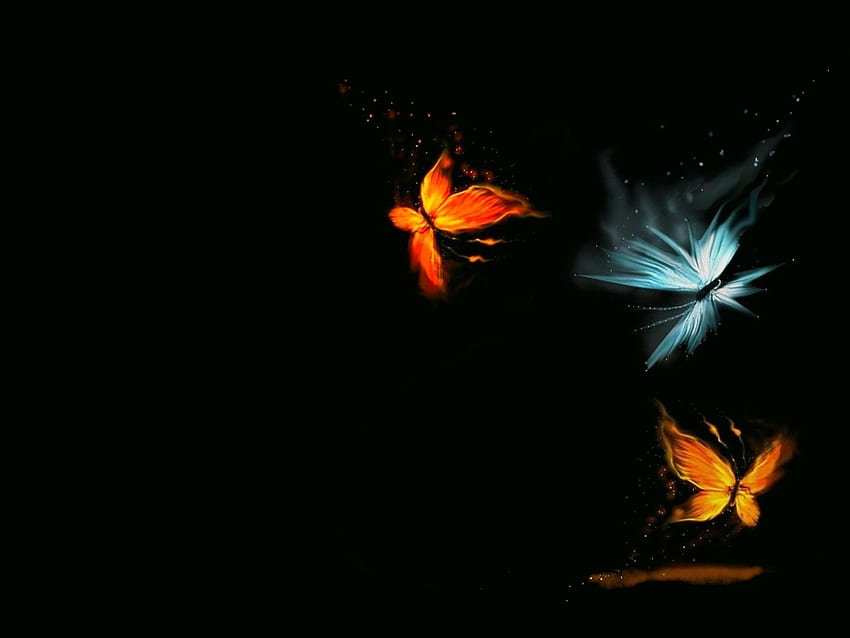 Butterflies, Insects, Background HD wallpaper