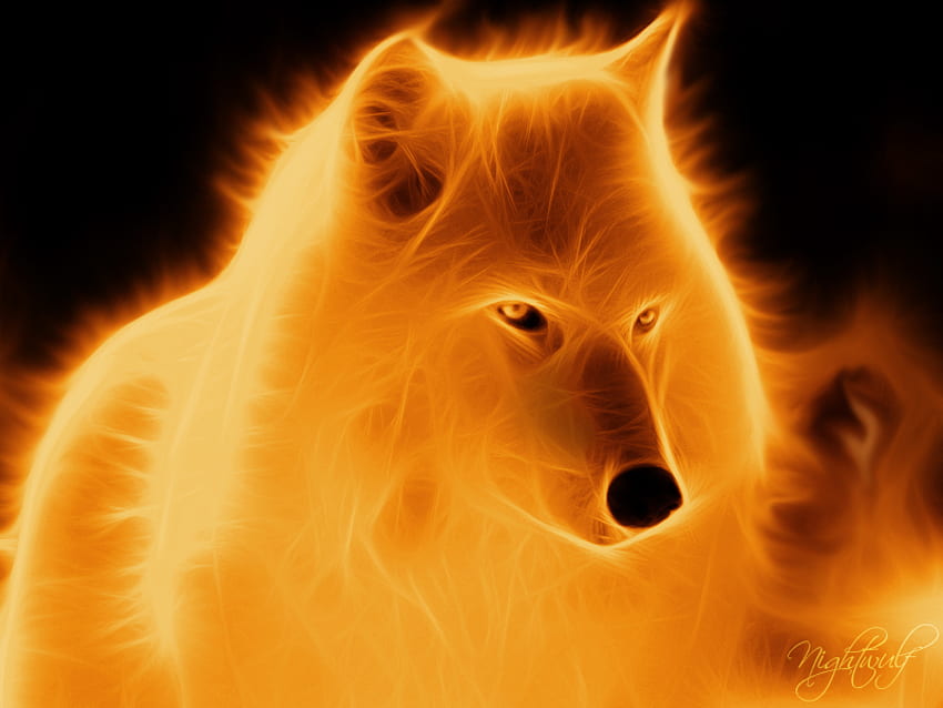 Wolf of fire, animals, other, dogs, wolf, fire HD wallpaper