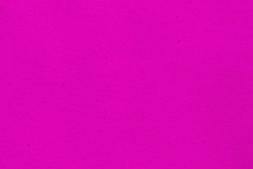 Bright Pink Background [] for your HD wallpaper | Pxfuel