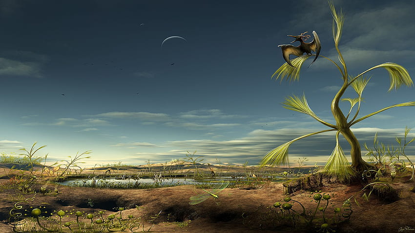 Surrealist Artist Surreal Art By Lenny Contemporary Surrealist, Surreal Landscape HD wallpaper