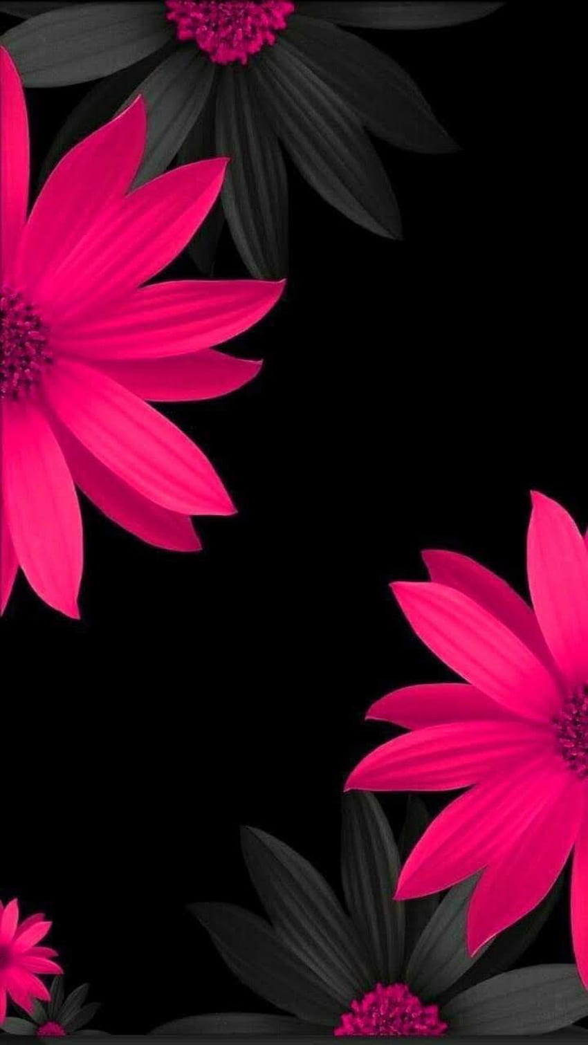Noir. Thème. . iPhone. Android. Fleurs fond noir, Fond noir, Rouge Fond d'écran de téléphone HD