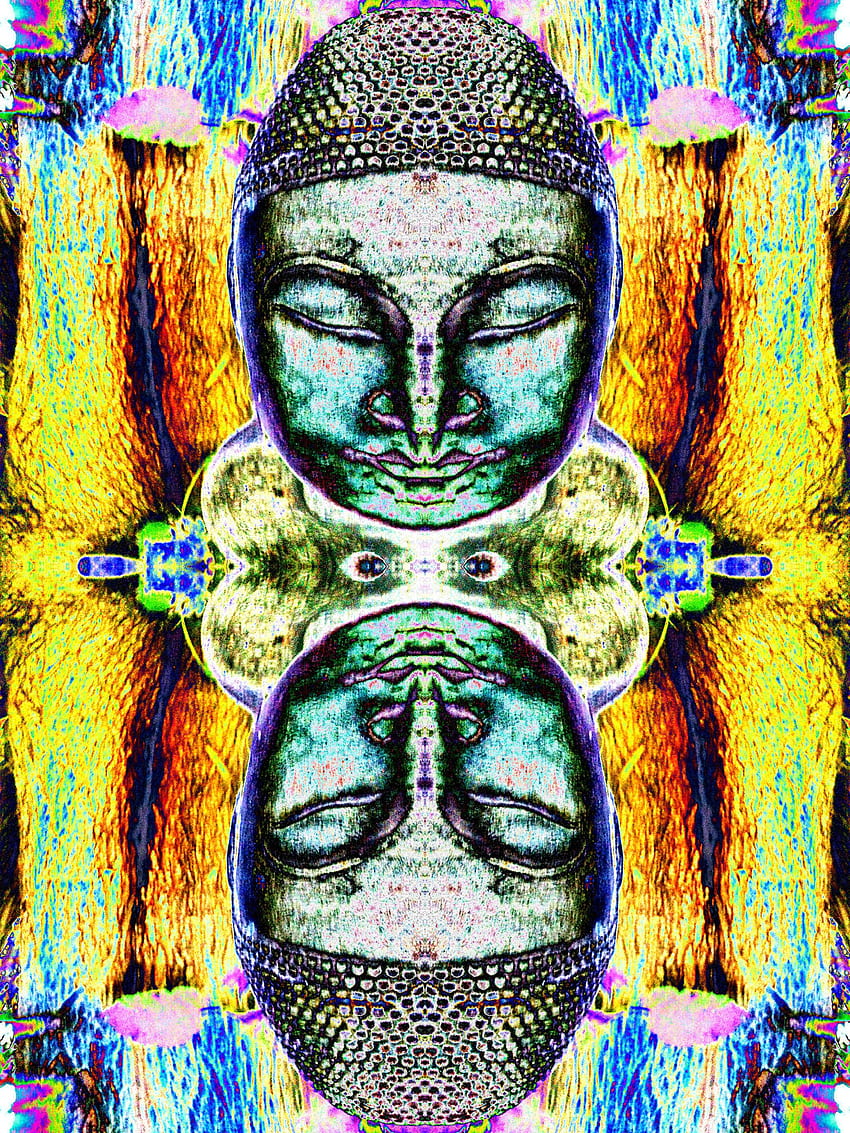 Buddhas in the Garden: Psychedelic Art for Back Yard Statuary Freaks. Electric Stone Head Siddhartha Digs The Big Groove. Sacred Square: Inner Journeys in the Outer World HD phone wallpaper
