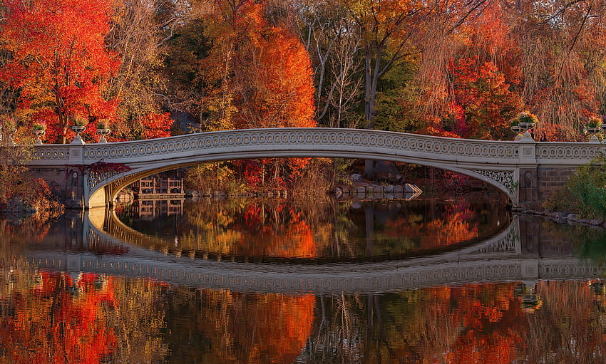 Autumn park, EE.UU., Reflejo, Central park, Puente, Río fondo de pantalla