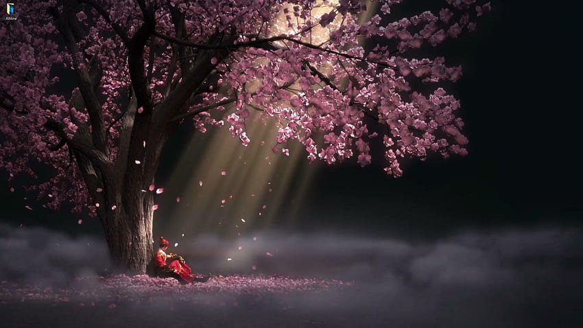 Sakura Drop - canlı anime [ ], Sakura Ağacı Anime HD duvar kağıdı