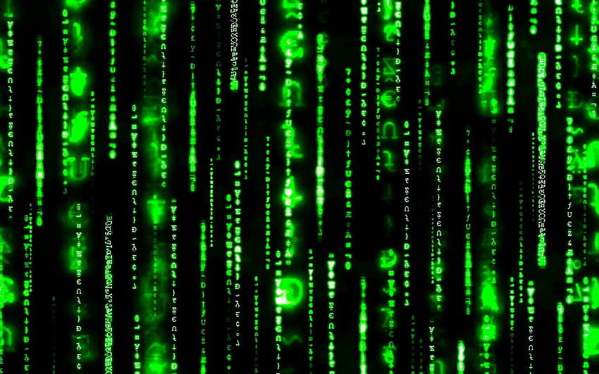 Impresionante matriz azul animada. Computadora , , Código, Sofie Dossi fondo de pantalla