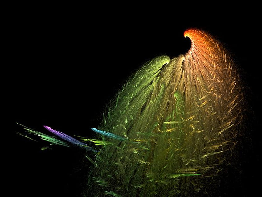 Peacock Feathers, colorful, peacock, feathers HD wallpaper
