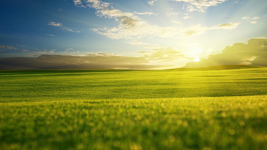 Пролетна слънчева светлина в полето, слънчева светлина, поле, небе, природа, пролет HD тапет