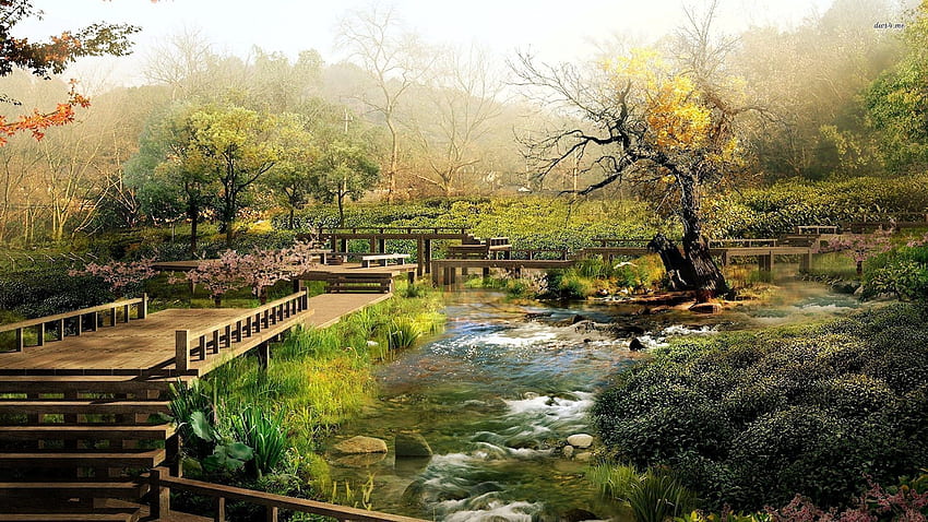 Japanischer Garten im Regen – Yahoo-Suchergebnisse. Japanisch, japanischer Wassergarten HD-Hintergrundbild