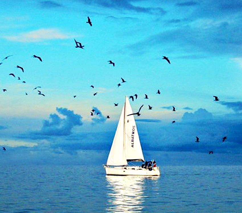 Beaches: Romantic Blue Escape Love Sky Couple Boat Two Birds Sea HD wallpaper