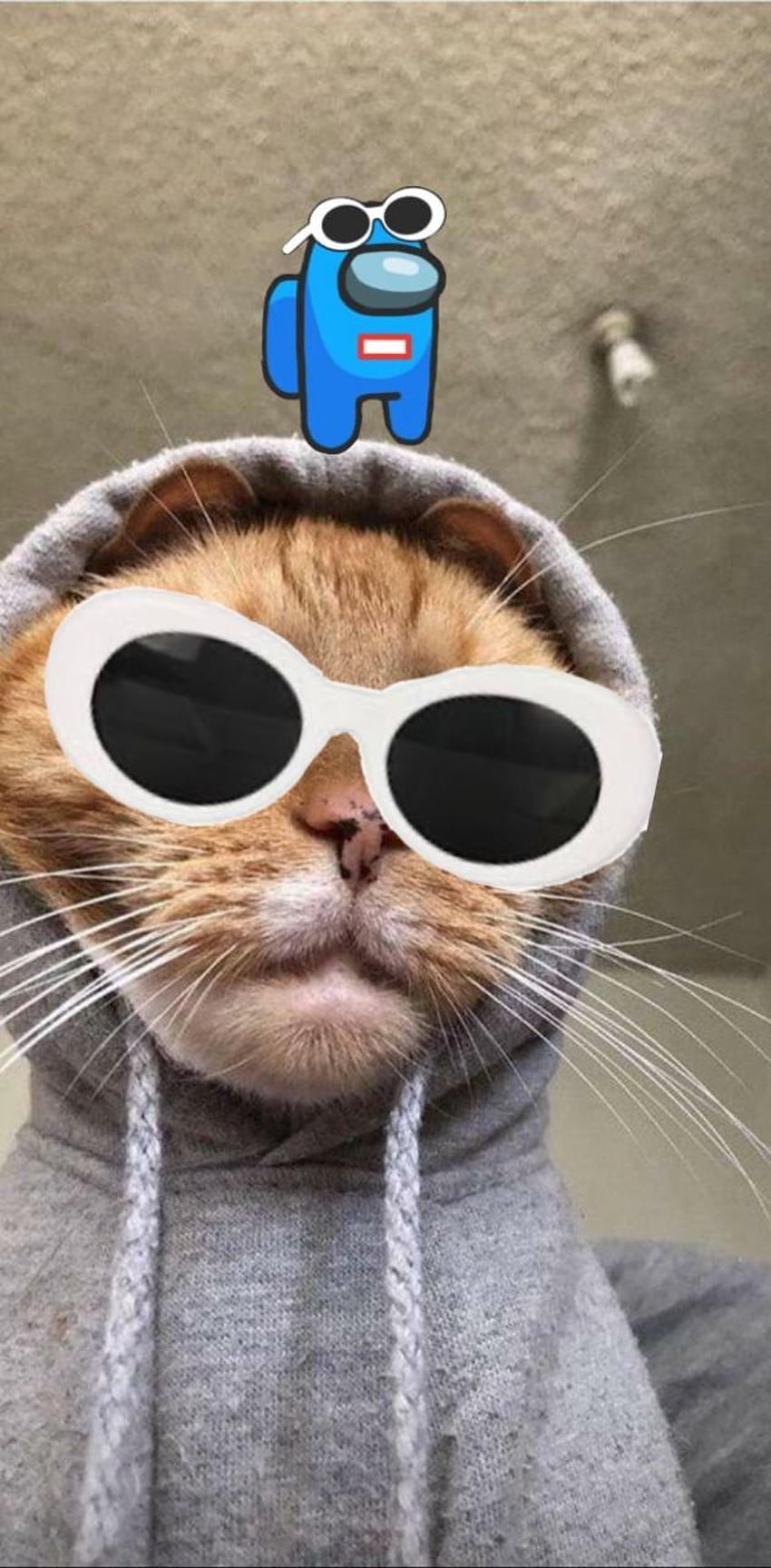 Beluga Cat Hacker Stickers for Sale  Redbubble