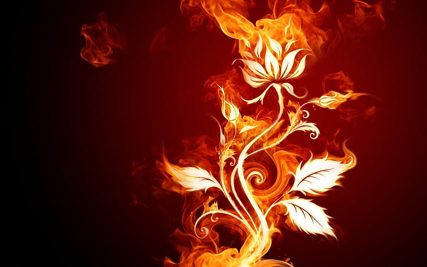 Abstract, Background, Fire, Patterns, Flame, Rose Flower, Rose HD wallpaper