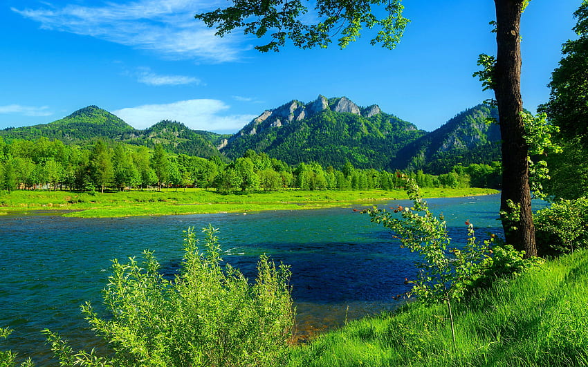 River Dunajec Poland Summer Landscape Mountains With Forest Green Grass, Blue Sky HD wallpaper