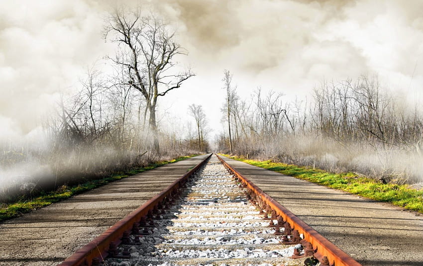 kereta api di kabut musim gugur r, kabut, musim gugur, kerikil, jalan, r, kereta api, hutan Wallpaper HD