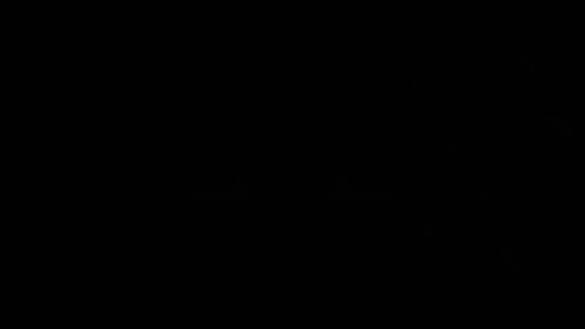 Reines Schwarz - , Reiner schwarzer Hintergrund auf Fledermaus, kühles dunkles Schwarz HD-Hintergrundbild