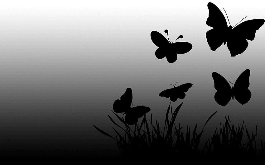 fondo de mariposa negra y roja