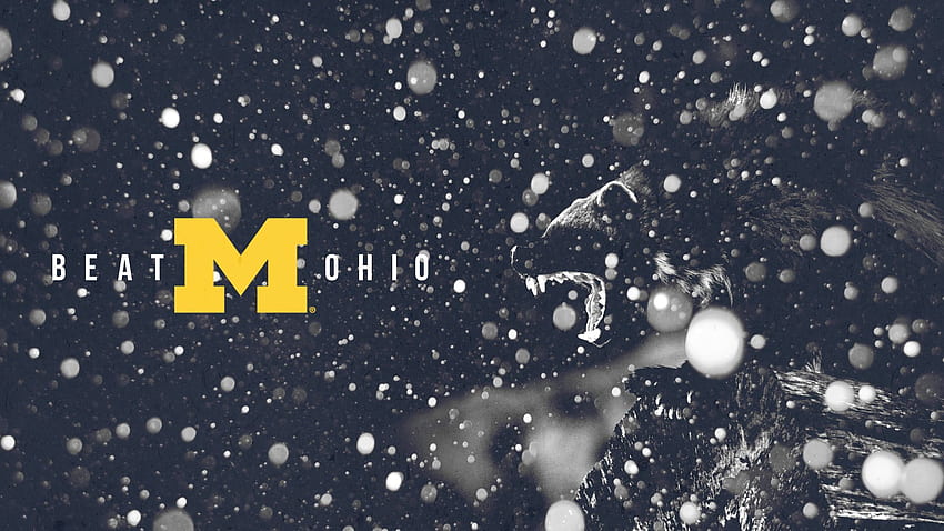 Michigan Wolverines HD wallpaper Michigan Wolverines HD wallpaper