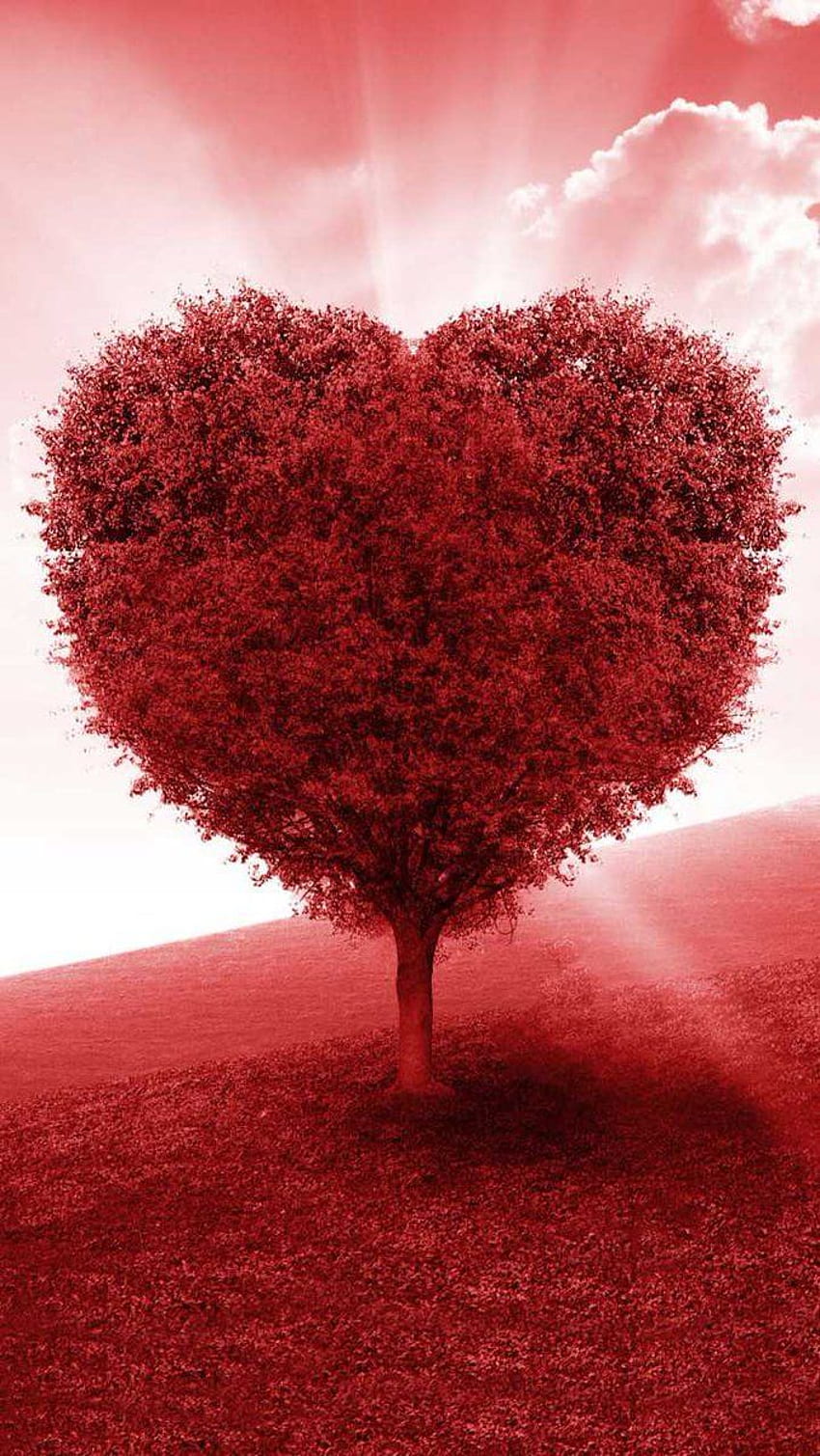 Q - Love ❤️ By: Comfreak, Heart Shape HD電話の壁紙