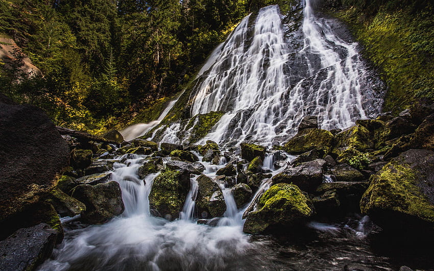 Diamond Falls, Oregon, river, cascades, trees, cliff, forest, usa HD wallpaper