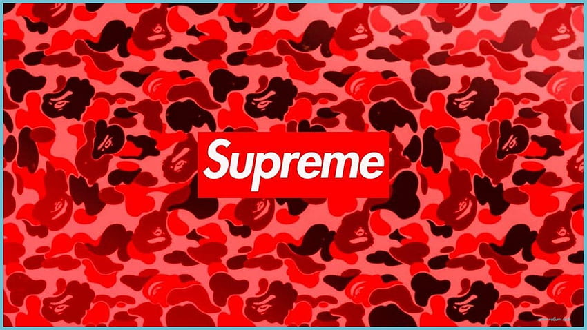 Red Supreme - Supreme Laptop, Supreme Floral Computer HD-Hintergrundbild
