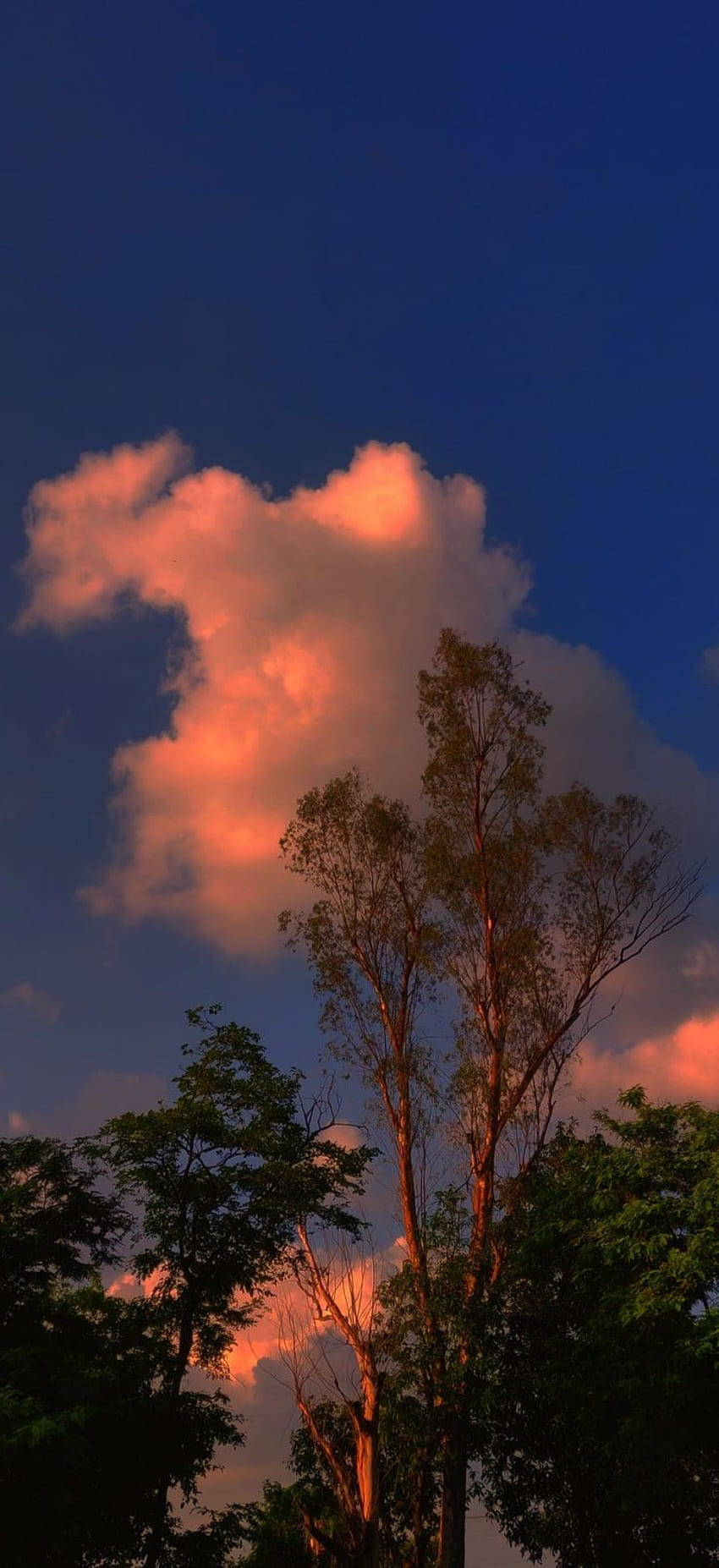 sunset, langit, awan HD phone wallpaper
