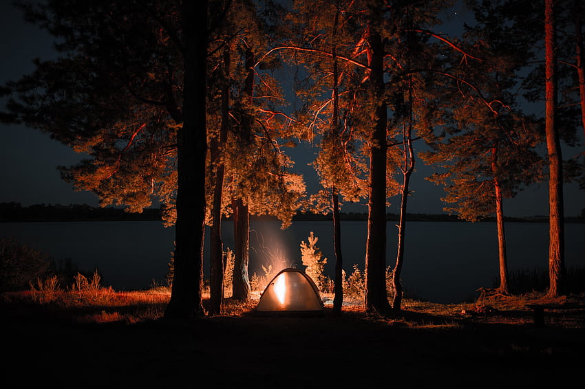 Излет, лагерен огън, дървета, палатка, нощ HD тапет