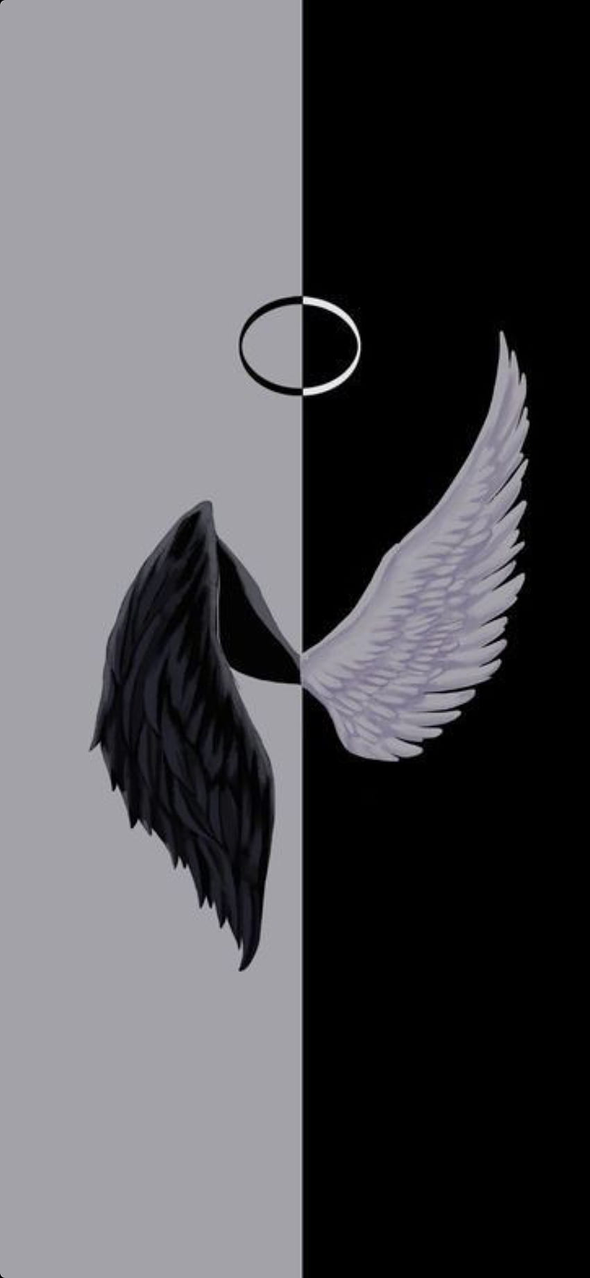 black & white wings HD phone wallpaper