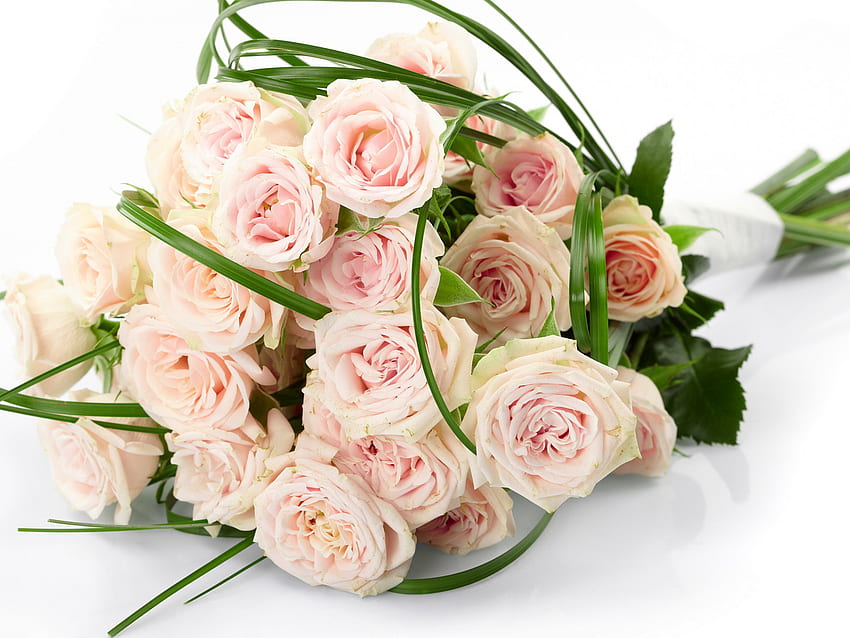 Piante, fiori, rose, bouquet Sfondo HD