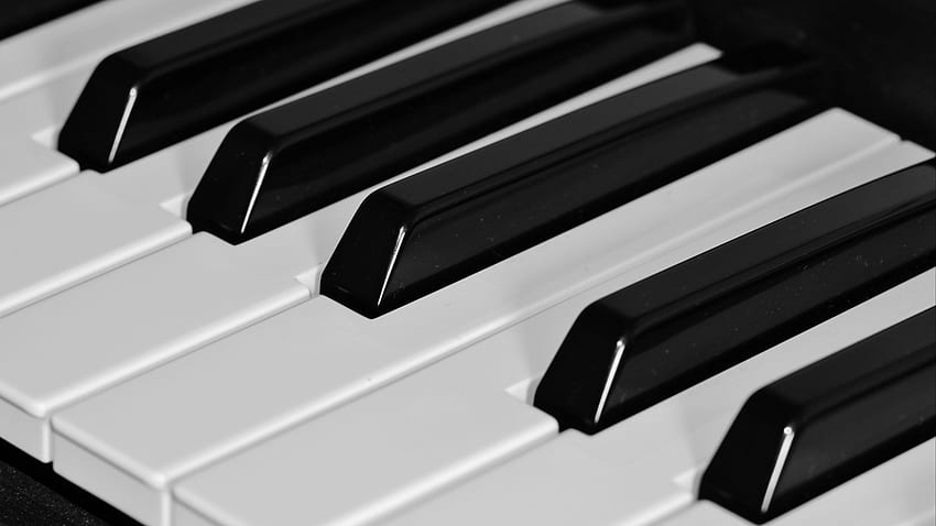 피아노, 건반, 악기, Dark Miniature Pinscher 1440 by 9 00 HD 월페이퍼