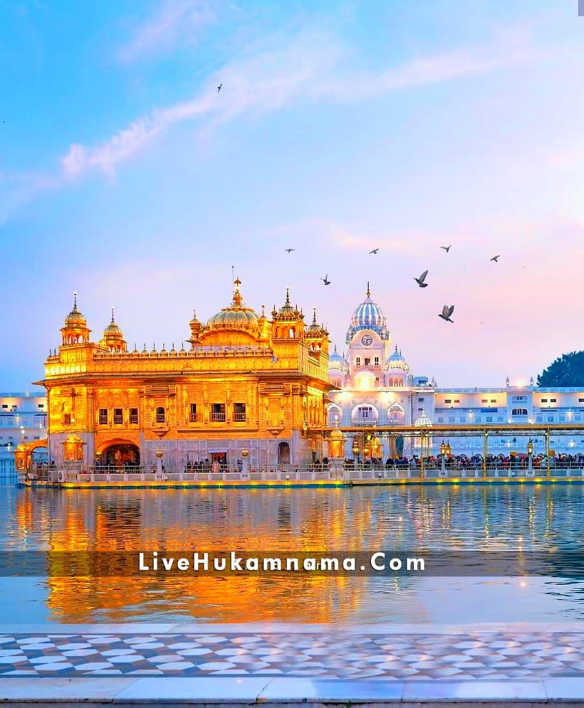 Golden Temple Amritsar Beautiful 2021 2022 And 2023 Live Hukamnama, Golden  Temple at Night HD phone wallpaper | Pxfuel