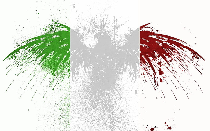 Italy Flag  Grass  640x960 Wallpaper  teahubio