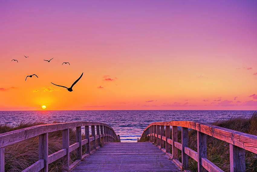 Bridge on beach, bridge, beautiful, sky, sunset, sunrise, ocean, sea, vacation, summer, sun HD wallpaper