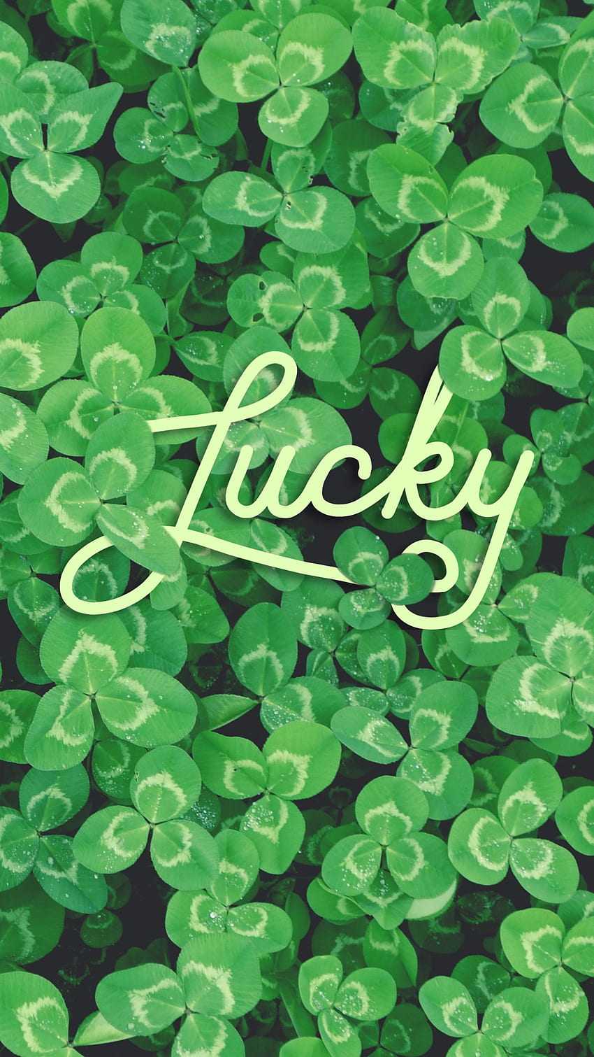 Glücksklee St. Patrick's Day ruft Lynn Meadows an HD-Handy-Hintergrundbild