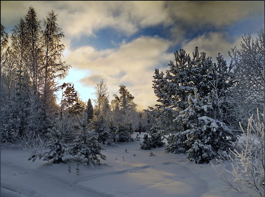Musim dingin, awan, langit, salju Wallpaper HD