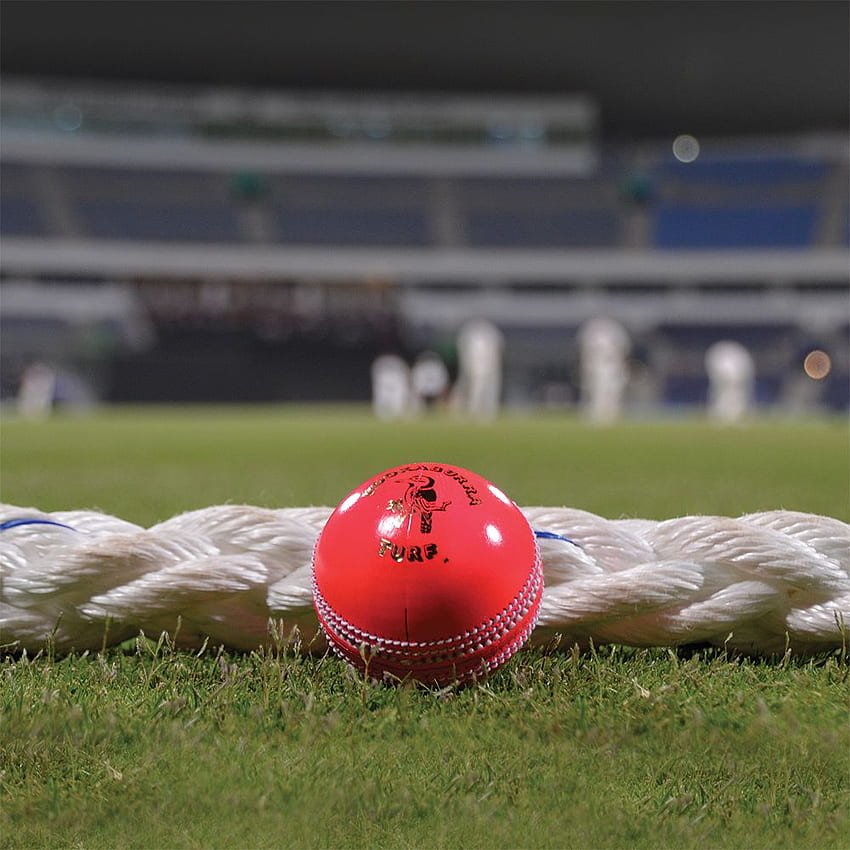 Pink Cricket Ball. Day Night Cricket Ball. Pink Turf Ball By Kookaburra. Cricket Balls, Cricket , Cricket Bat HD phone wallpaper