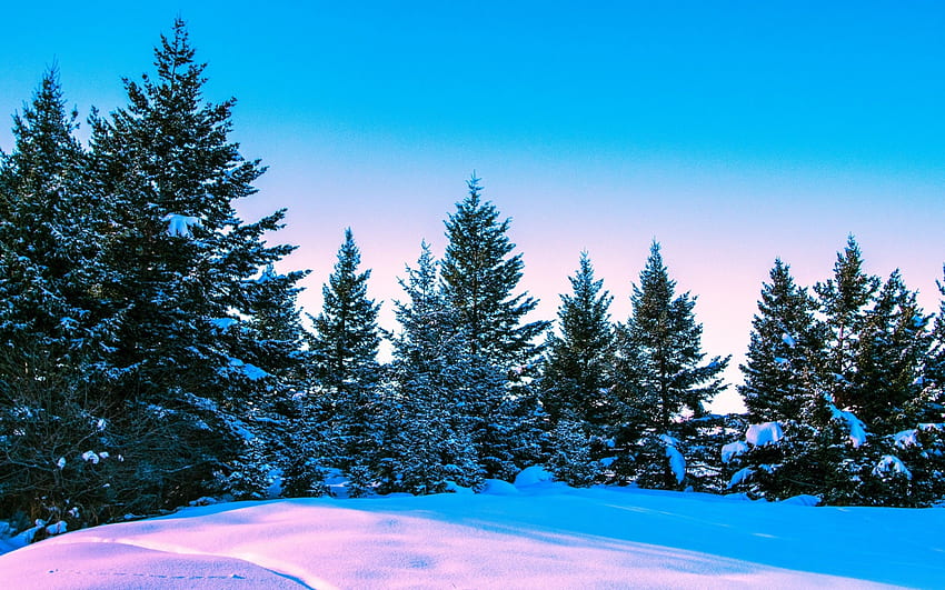 Bright sky on a wintery day 15 Retina Macbook Pro HD wallpaper