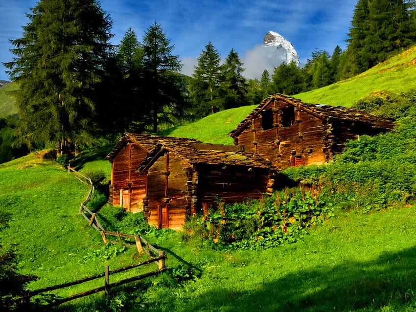 Mountain cottages, place, peaks, peaceful, houses, nice, cottages, fence, trees, beautiful, grass, mountain, summer, rest, pretty, green, view, cabins, nature, lovely, calmness HD wallpaper