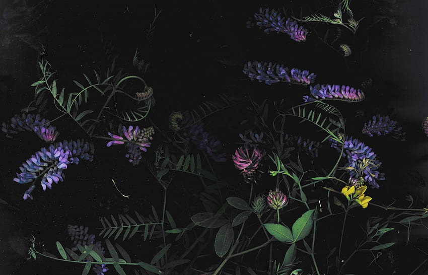 Dunkles Blumenmuster -, dunkler Blumenhintergrund auf Fledermaus, ästhetischer Blumencomputer HD-Hintergrundbild