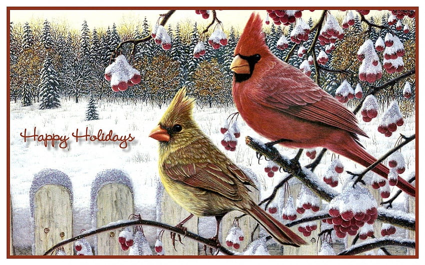 Happy Holidays F2, winter, birds, art, jesus, illustration, artwork, occasion, wide screen, holiday, snow, christmas, december, savior, cardinal HD wallpaper
