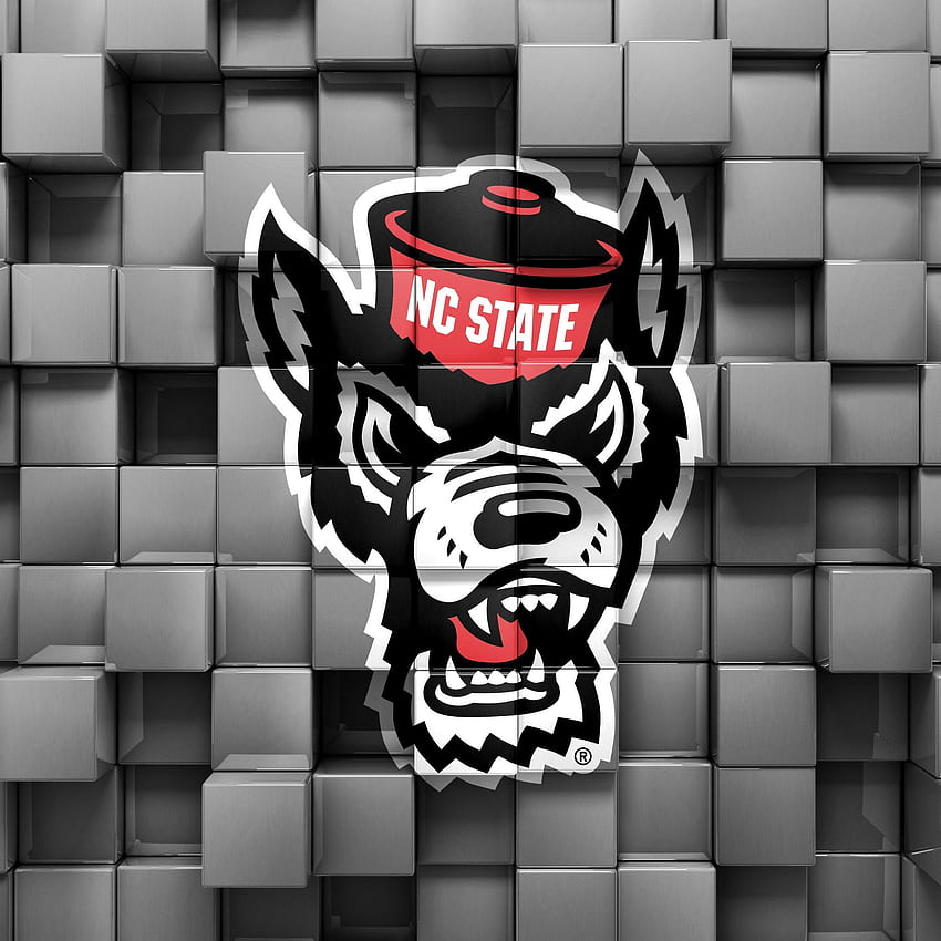 NC State Dave From Carter Finley HD phone wallpaper | Pxfuel