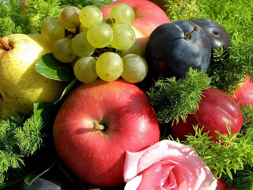 Плодове, храна, трева, ябълки, грозде, сливи HD тапет