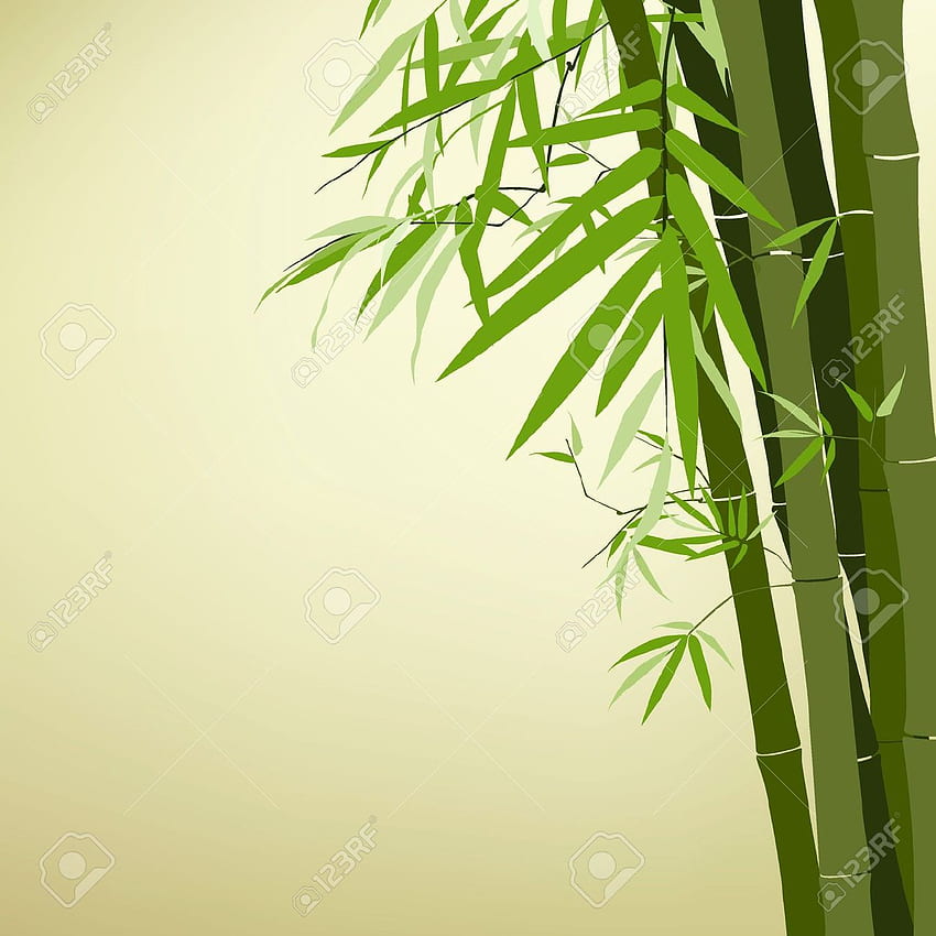 Bamboo , Bamboo Phone HD phone wallpaper
