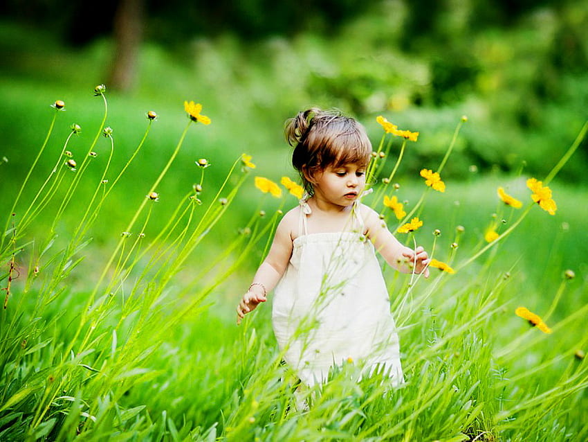 Gadis kecil di bidang bunga, berpakaian putih, bunga, gadis, malaikat, rumput, sedikit, lapangan, hijau, alam, bunga Wallpaper HD