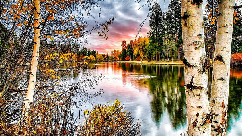 秋の川、木々、川、秋、反射 高画質の壁紙