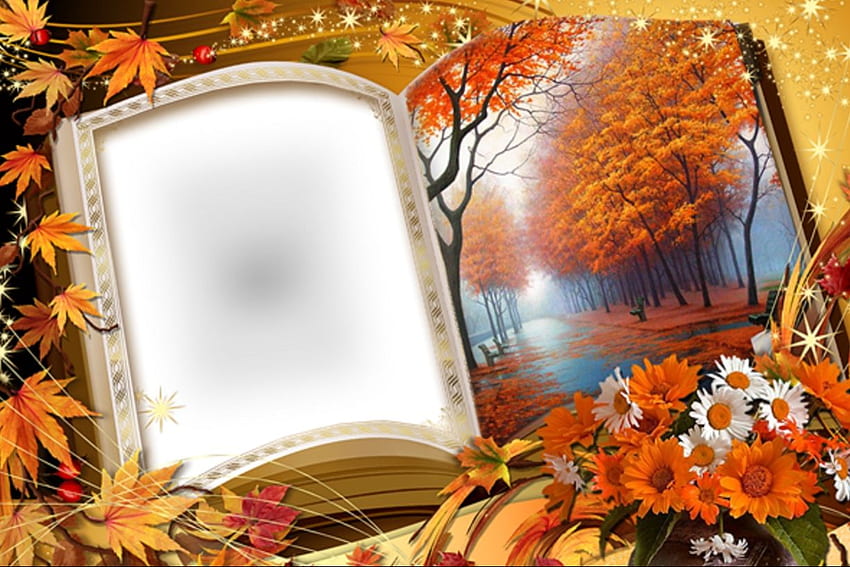 Jesień, upadek, książka, liście, drzewa. Projekt tła kwiatu, ramka kwiatowa png, telefon kwiatowy, upadek Birtay Tapeta HD