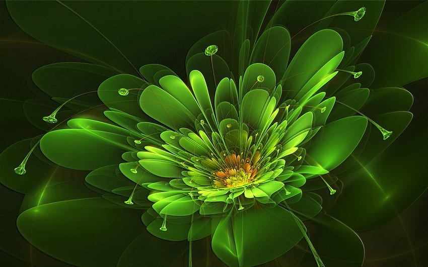 Streszczenie, tło, kwiat, połysk, światło, kolorowe, kolorowe Tapeta HD