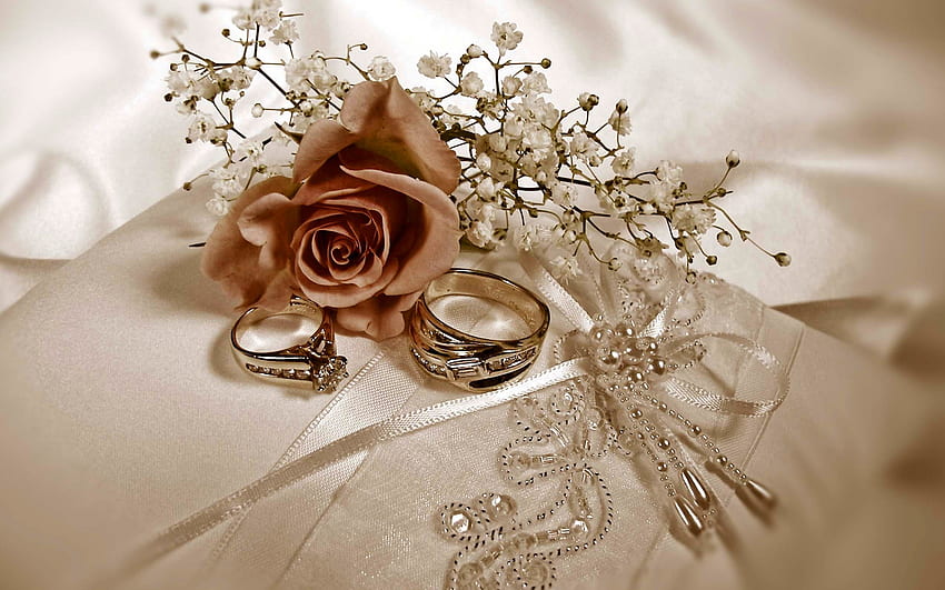 wedding rings, wedding concepts, golden rings on white silk, rose, wedding, wedding card background HD wallpaper