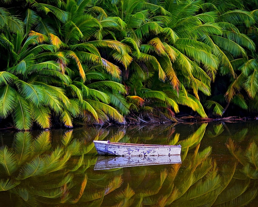 Barco en el lago del bosque, barco, árboles, bosque, lago, naturaleza, palmera, reflejo, verde fondo de pantalla